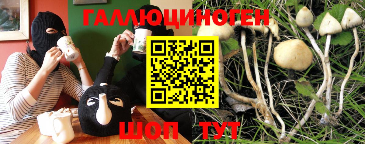 Псилоцибиновые грибы мицелий  Вход с VPN  Псилоцибиновые грибы Psilocybine cubensis  Светлоград 